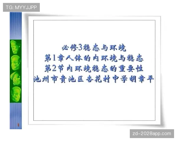 体育道德犯规判罚标准解析：裁判如何界定“非技术性犯规”？