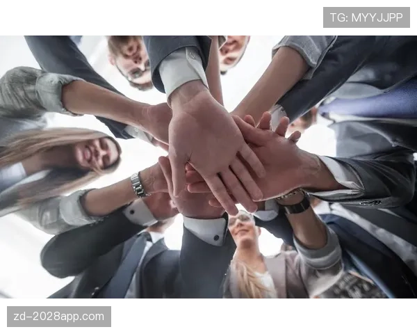 厄德高个人表现与团队成绩的关联性分析