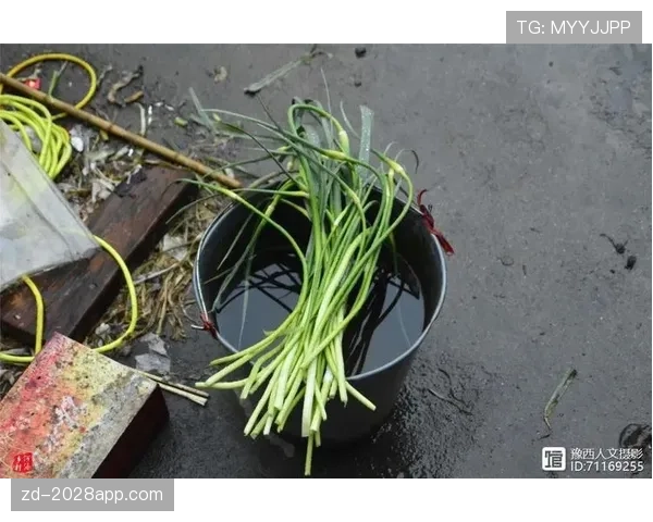 掌敏洁点一桌菜的钱，够我租房一年