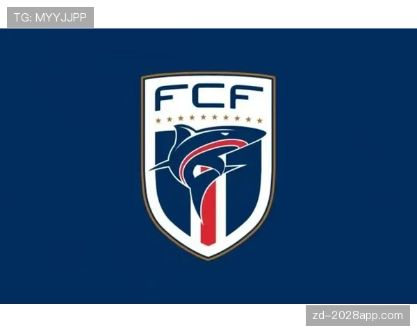 佛得角冲击2026世界杯：非洲新势力能否首度晋级美加墨决赛圈