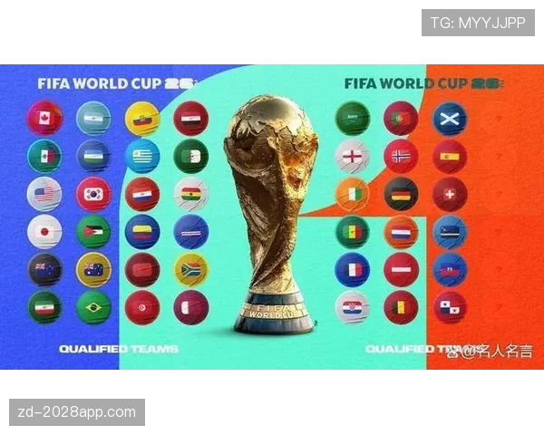 2026世界杯官方小组比较解析