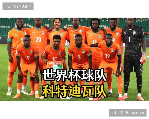 科特迪瓦冲击2026世界杯：新老交替能否助大象军团重返决赛圈